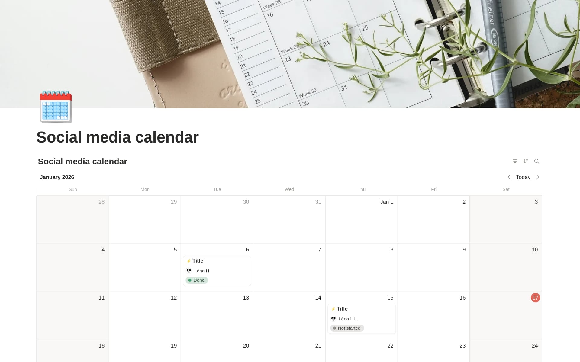 A template preview for Social media calendar
